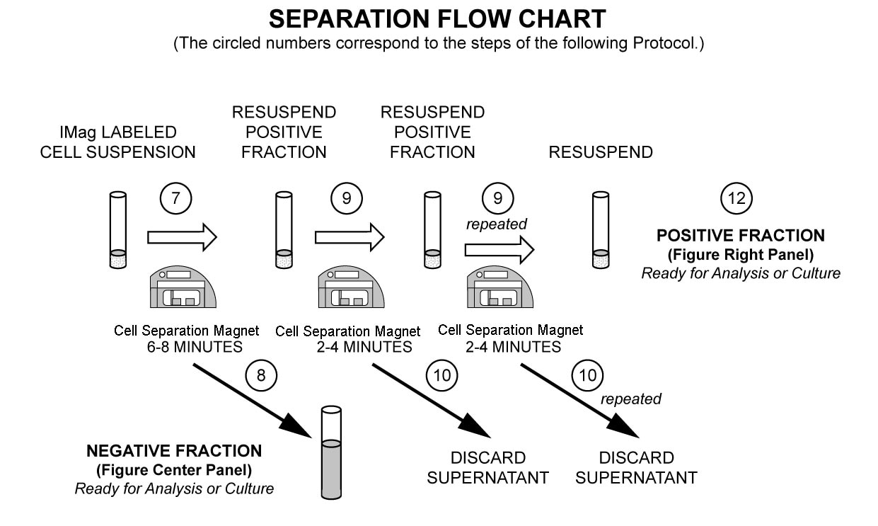 separationstep7.png